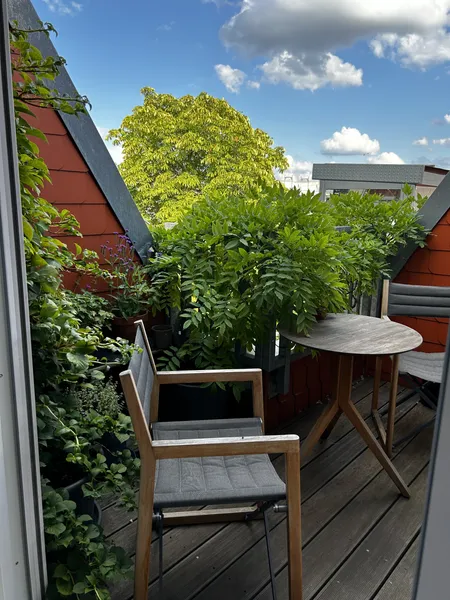 großzügige 3-Zimmer Dachgeschosswohnung mit drei Terrassen, Kamin und Einbauküche — photo 1